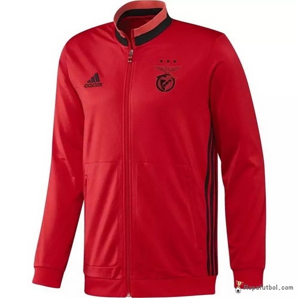 Chaqueta Benfica 2016/17 Rojo